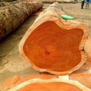 Malaysian Sal Wood (HARDWOOD SAWN SIZE), For Door Frame